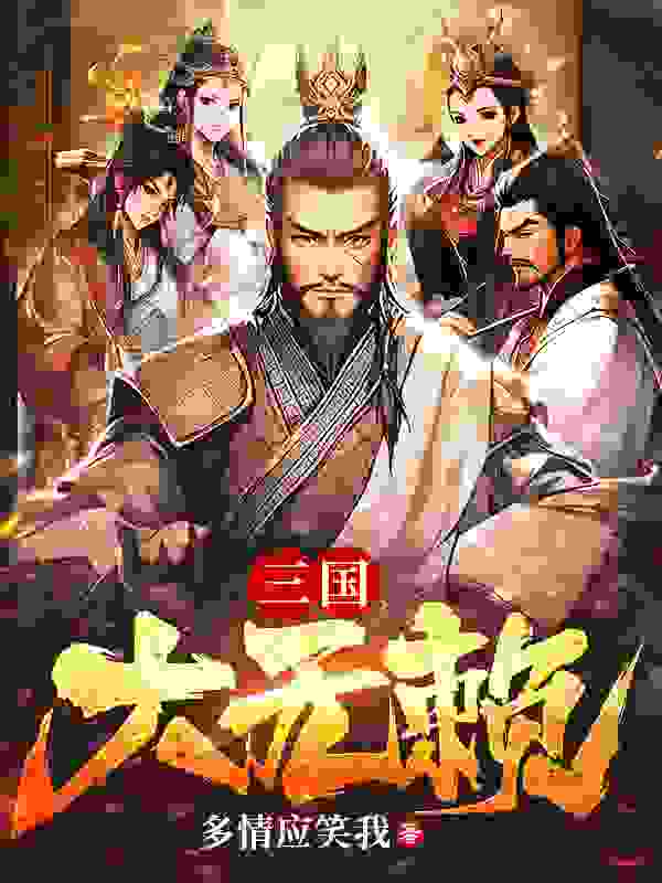 无删减精彩小说《三国大无赖》免费阅读