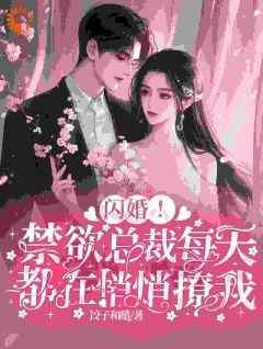 闪婚！禁欲总裁每天都在悄悄撩我(全章节)-时安陆觉在线阅读