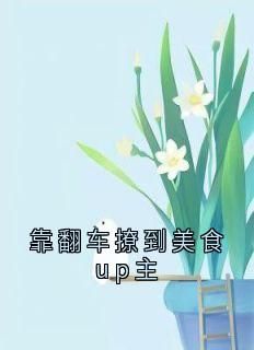 佚名的小说《靠翻车撩到美食up主》主角是林声声许言川沈真