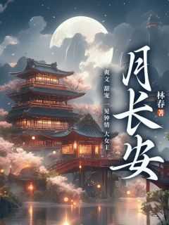 老书虫书荒推荐月长安txt小说阅读