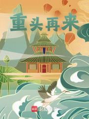 求颜洛言枫小说免费资源