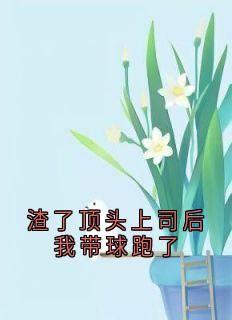 舒白沈彦小说(渣了顶头上司后我带球跑了)_舒白沈彦小说最新章节