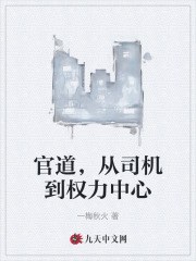 官道，从司机到权力中心周东陈文媛小说阅读，官道，从司机到权力中心无删减版