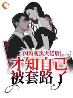 闪婚腹黑大佬后，才知自己被套路了(新书)大结局在线阅读