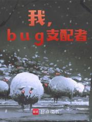 小说《我，bug支配者》免费阅读