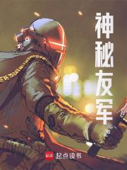 黄河李云龙小说叫什么（神秘友军免费阅读）