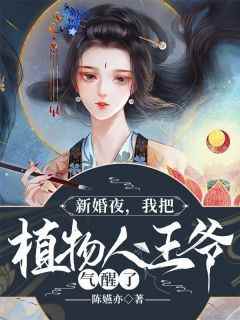 【新婚夜，我把植物人王爷气醒了】小说在线阅读-新婚夜，我把植物人王爷气醒了免费版目录阅读全文