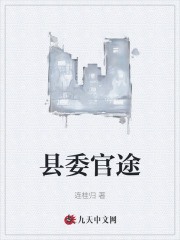 县委官途免费阅读（沈飞谢兰）小说完结版