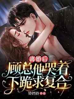 沈滢顾晔承主角的小说完结版《离婚后，顾总他哭着下跪求复合》全集