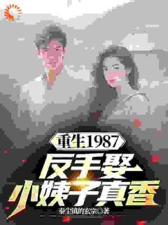 《重生1987，反手娶小姨子真香》（李峰杨雪）精彩小说目录阅读