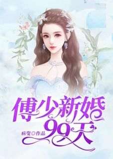 《傅少新婚99天》苏海儿傅庭深小说全章节最新阅读