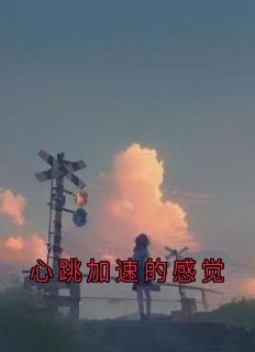 《心跳加速的感觉》完整版-阮真商邵在线全文阅读