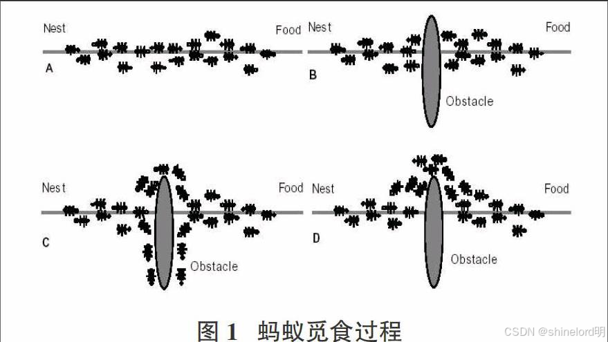 【算法】蚁群算法