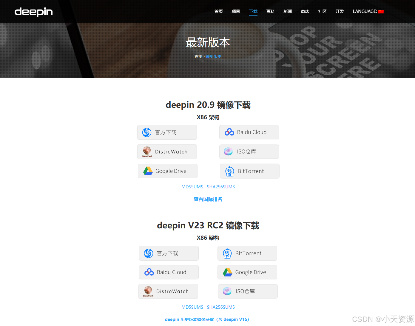 vmware 17.5安装 deepin23-RC2桌面社区版【超超详细图文安装教程】