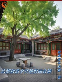 从解放前夕开始的四合院(林源林峰)全文章节在线阅读