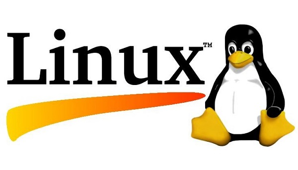 Linux 中使用 cd 命令：切换目录的完全指南