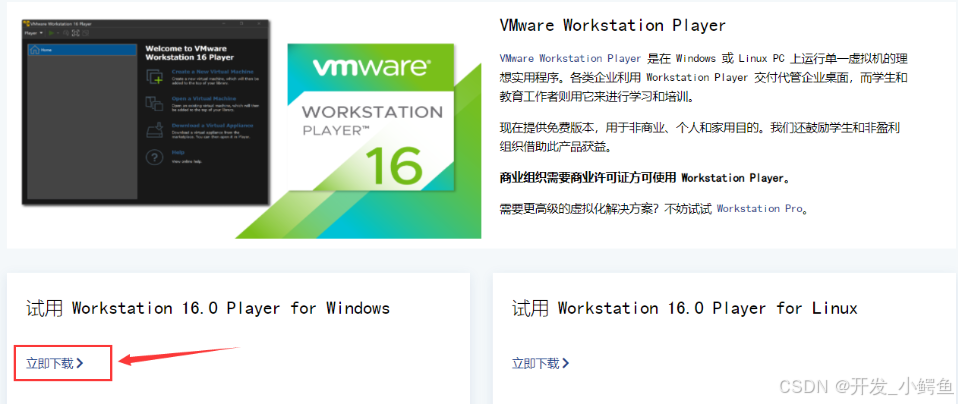 VMware虚拟机下安装Ubuntu22.04以及汉化配置保姆级教程