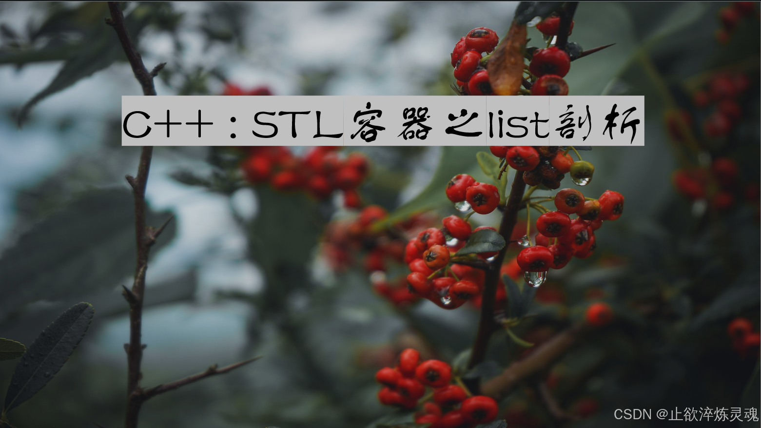 C++ : STL容器之list剖析