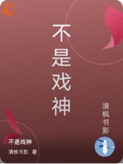 不是戏神(林羽苏晴)小说全章节目录阅读