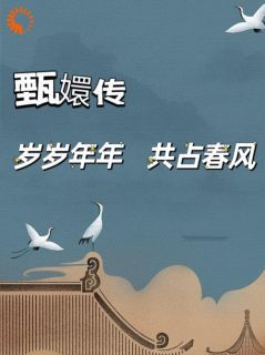 《甄嬛传之岁岁年年，共占春风》无广告阅读 于阳安陵容免费在线阅读