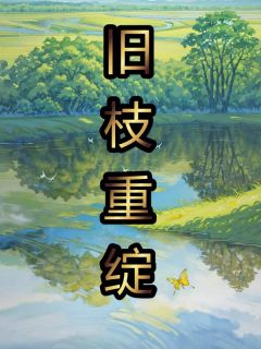 何枝何木岑小说抖音热文《旧枝重绽》完结版