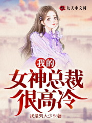 我的女神总裁很高冷（林向东沐柔）在线免费阅读