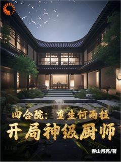 四合院重生何雨柱，开局神级厨师免费阅读全文，主角何雨柱何雨水小说完整版