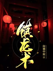 小说《九龙在天》txt全文阅读