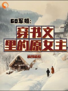 60军婚：穿书文里的原女主[抖音]小说-林颖赵青淮无删减阅读