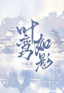 免费完结小说《叶鸾如影叶鸾萧绍》无弹窗免费阅读