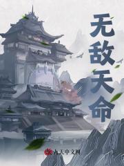 无敌天命叶天命南陵昭小说阅读，无敌天命无删减版