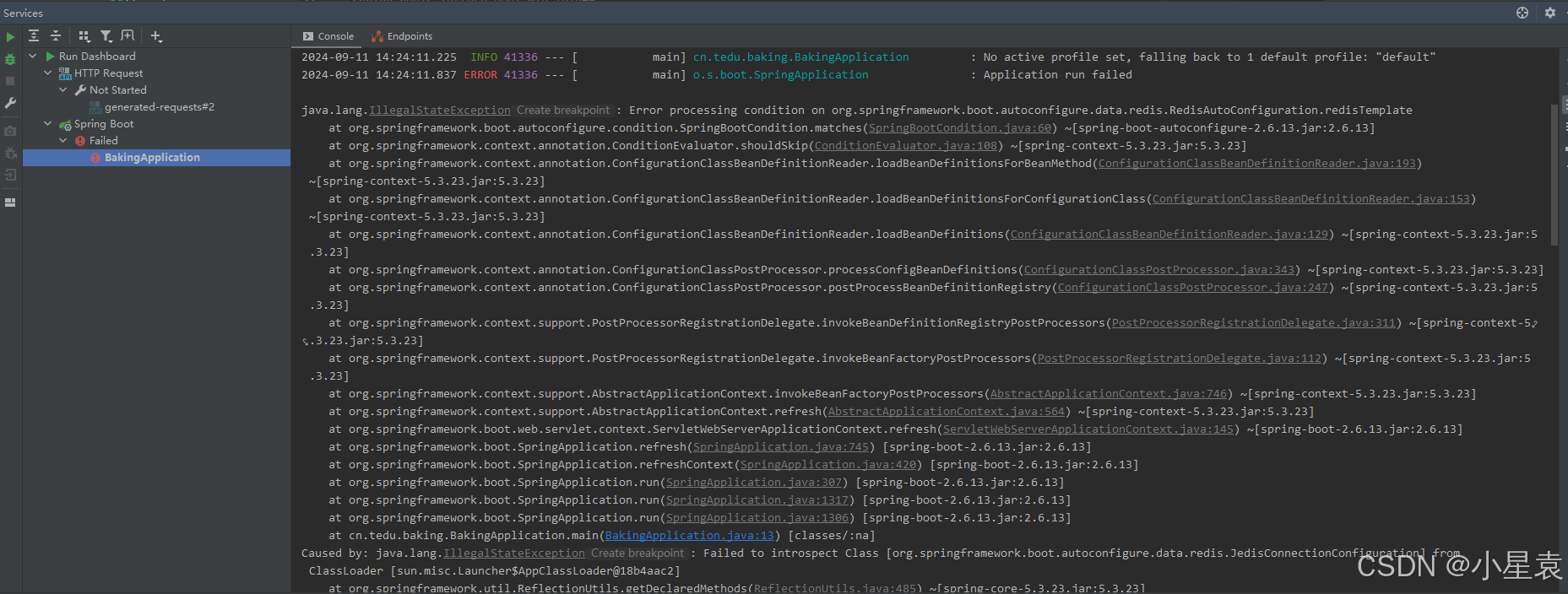 java.lang.IllegalStateException: Error processing condition on org.springframework.boot.autoconfigur