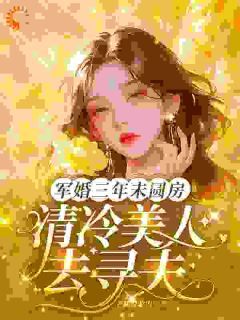 《军婚三年未圆房，清冷美人去寻夫》完整版-沈菱陆越在线全文阅读