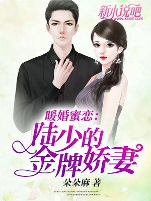 主角叫白小冰小冰程萧陆正昊小说暖婚蜜恋：陆少的金牌娇妻全文免费阅读