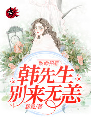 致命招惹：韩先生，别来无恙小说完整版，沈晚韩湛铭在线免费阅读