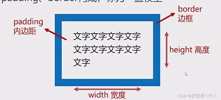 前端：盒模型