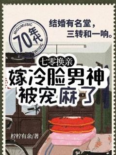 免费完结小说《七零换亲，嫁冷脸男神被宠麻了高文玥陆向野》无弹窗免费阅读