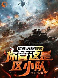 《抗战：无限爆装，你管这是区小队》无广告阅读 赵军王喜奎免费在线阅读