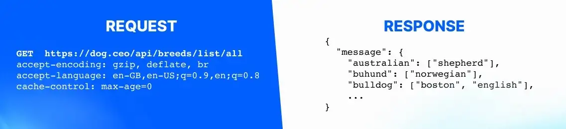 HTTP、WebSocket、gRPC 或 WebRTC：哪种协议最适合您的应用程序？