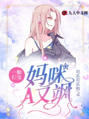 已完结小说《一胎仨宝：妈咪A又飒》全章节在线阅读