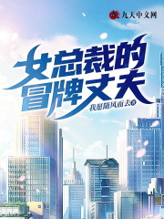 女总裁的冒牌丈夫全章节免费在线阅读，林凡陆雪完结版