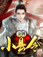 完整版《金牌小县令》章节目录在线阅读