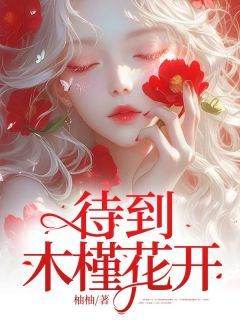 《许攸蒋渡》主角小说待到木槿花开抖音文免费阅读全文