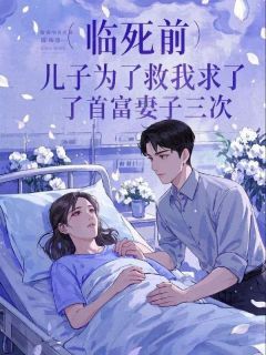 《文弱小女孩陈如霜》免费阅读_白云飞木木陈如霜小说在线阅读