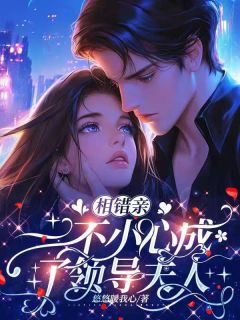 《相错亲,一不小心成了领导夫人》小说章节列表免费阅读_温软薄临修小说阅读