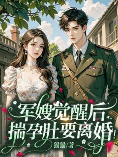 《军嫂觉醒后，揣孕肚要离婚！》沈清落陆清北小说精彩章节免费试读