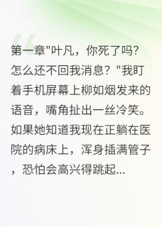 《柳如烟苏雨赵磊》未婚妻转走五百万后消失无踪章节列表免费试读