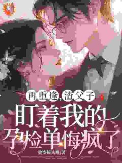 《再重逢,渣父子盯着我的孕检单悔疯了》小说阅读_许晚晴沈墨寒小说