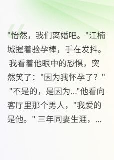 江楠城小希沈时安小说全文精彩章节在线阅读(老公爱男人我带球改嫁了)
