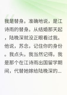 《代嫁三年他说爱错了人》全集免费在线阅读(陆晚深方远苏念)